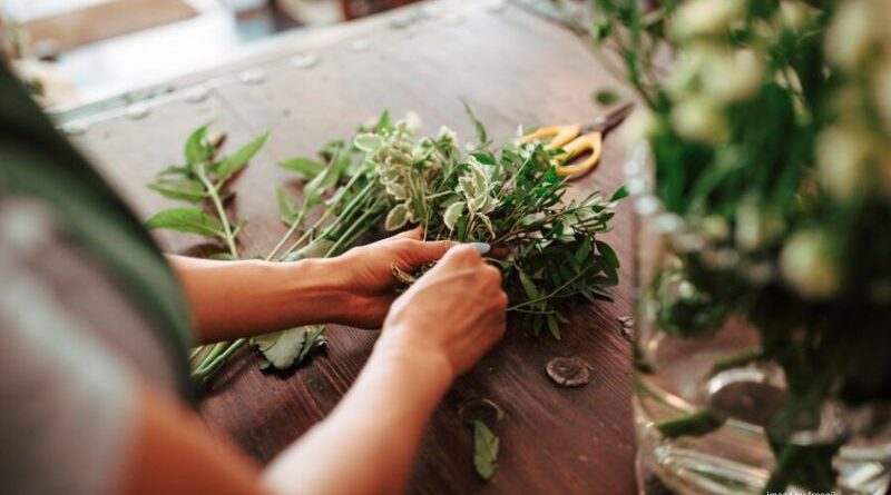 Herbs you can grow at home