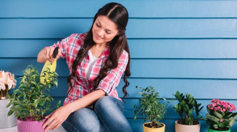 how to protect home garden from pests